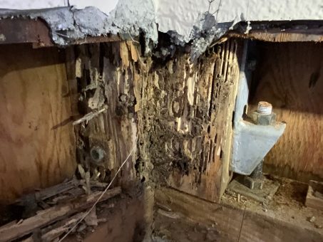 横須賀市鴨居　シロアリ被害